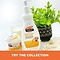Palmer's Palmers Raw Shea Nourish Body Lotion 250ml