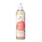 CG Curl CG Curl Define N’ Shine Magic Gel – Moisturizing Styling Gel for Definition & Frizz Control 355ml