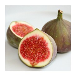 FIG