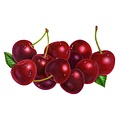 TPA BLACK CHERRY