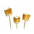 TPA TOASTED MARSH MALLOWS