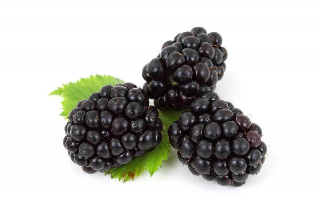 BLACKBERRY