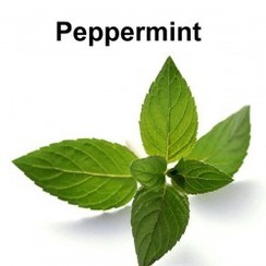 PEPPERMINT