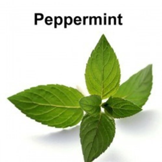 TPA PEPPERMINT