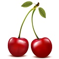 TPA CHERRY EXTRACT