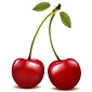 TPA CHERRY EXTRACT