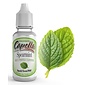 CAPELLA SPEARMINT