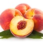 TPA NECTARINE