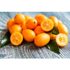 KUMQUAT