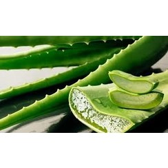 ALOE