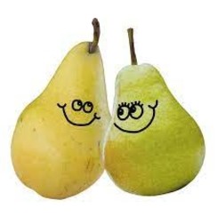 PAIR OF PEARS