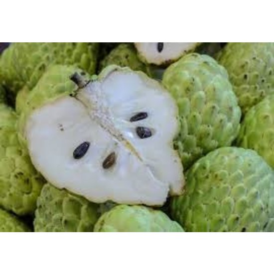 AW FLAVOR CHERIMOYA