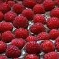 RASPBERRY CHOCOLATE