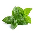 AW FLAVOR CHEFS CHOICE PEPPERMINT