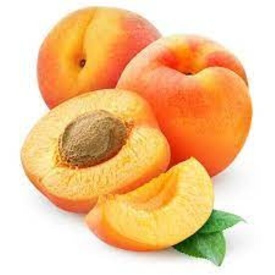 AW ITALIAN STYLE APRICOT