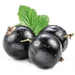 BLACKCURRANT