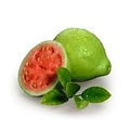 AW ITALIAN STYLE GUAVA