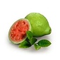 AW ITALIAN STYLE GUAVA