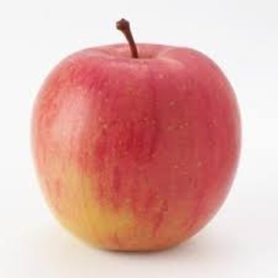 AW ITALIAN STYLE FUJI APPLE