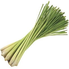 LEMONGRASS