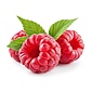 AW GREEK STYLE RASPBERRY