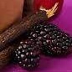 BLACKBERRY LIQUORICE