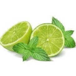 LIME & MENTHOL