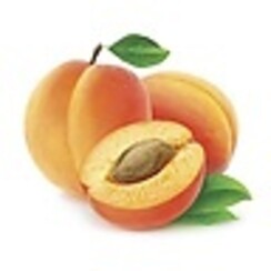 APRICOT