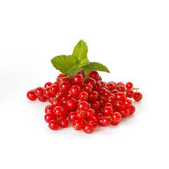 RED BERRIES AND MINT