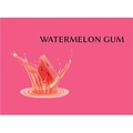 AW FLAVOR WATERMELON GUM