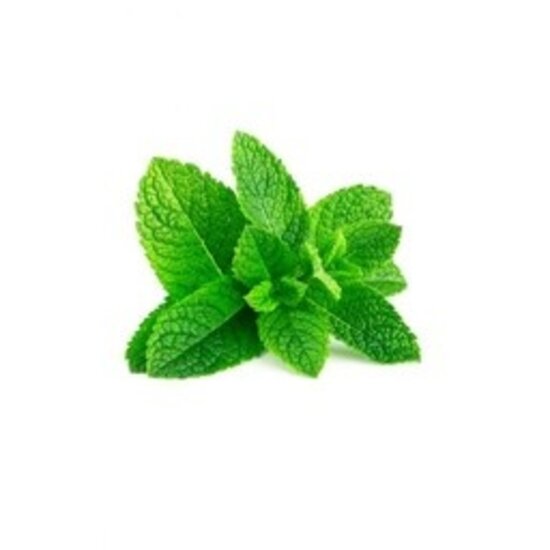 CAPELLA FRESH SPEARMINT 1ML