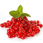 AW DUTCH STYLE RED BERRIES AND MINT 1ML