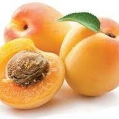 APRICOTS 1ML