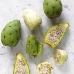 CACTUS VERDE 1ML