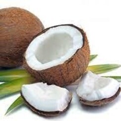 COCONUT 1ML