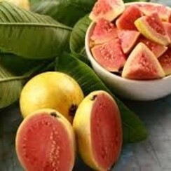 GUAVA 1 ML