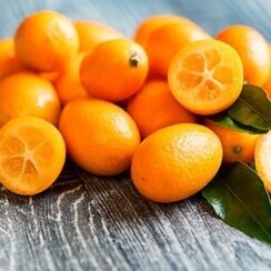 KUMQUAT 1 ML