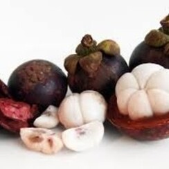 MANGOSTAN 1 ML