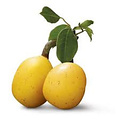 AW FLAVOR MARULA 1 ML