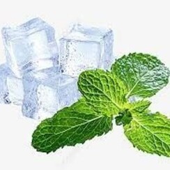 MENTHOL 1 ML