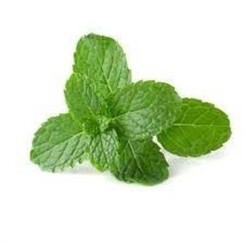 MINT 1 ML