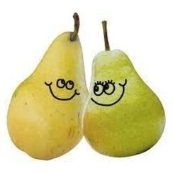 PAIR OF PEARS 1 ML