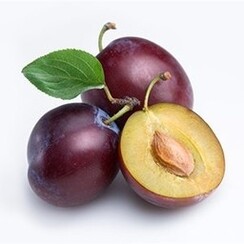 PLUM 1 ML