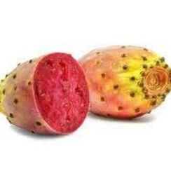PRICKLY PEAR 1 ML