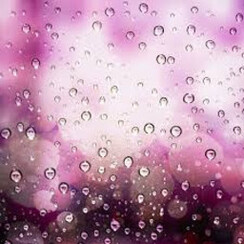 PURPLE RAIN 1 ML