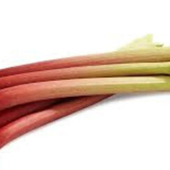 RHUBARB 1 ML