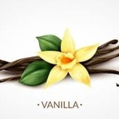 VANILLA CLASSIC 1 ML