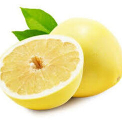 WHITE GRAPEFRUIT  1 ML
