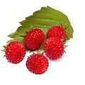 AW FLAVOR WILDE ERDBEERE 1 ML