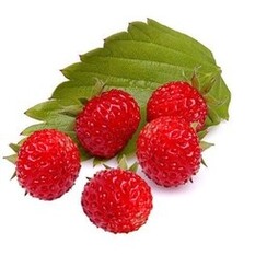 WILD STRAWBERRY 1 ML